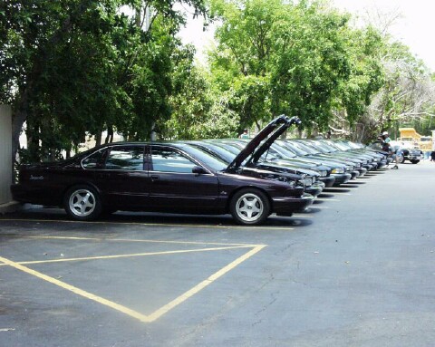 Impala Lineup